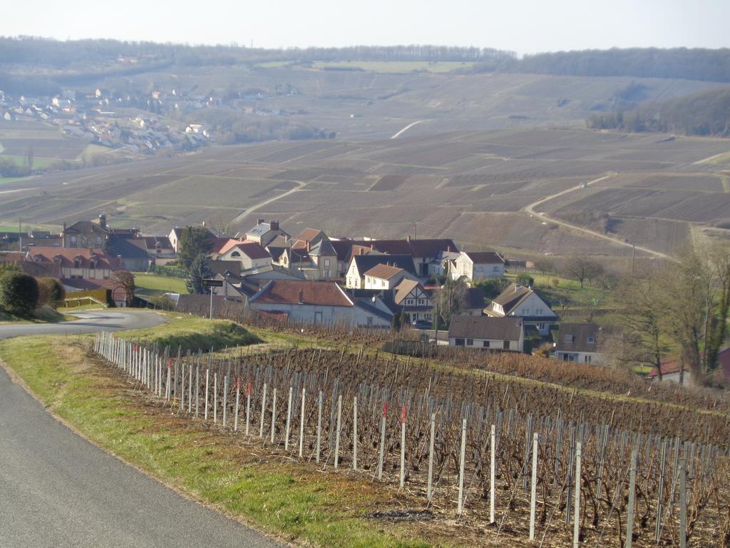 דירות Épernay Le Saint Vincent מראה חיצוני תמונה